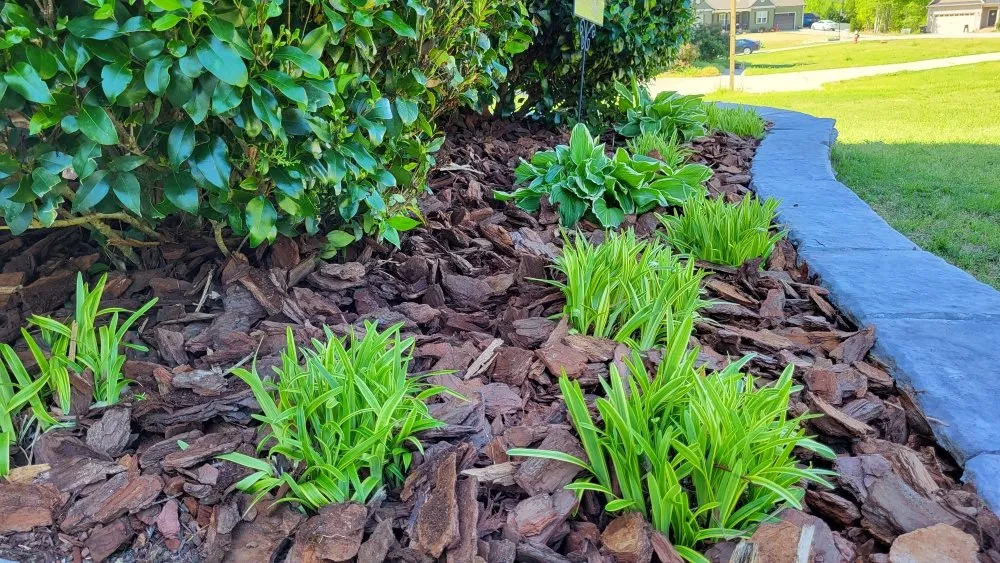 Affordable landscaping services in Clayton, NC - Driver's Landscaping