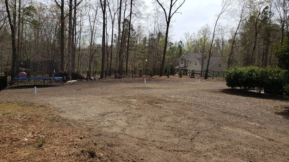 Top-rated yard maintenance experts serving Clayton, NC - Driver's Landscaping