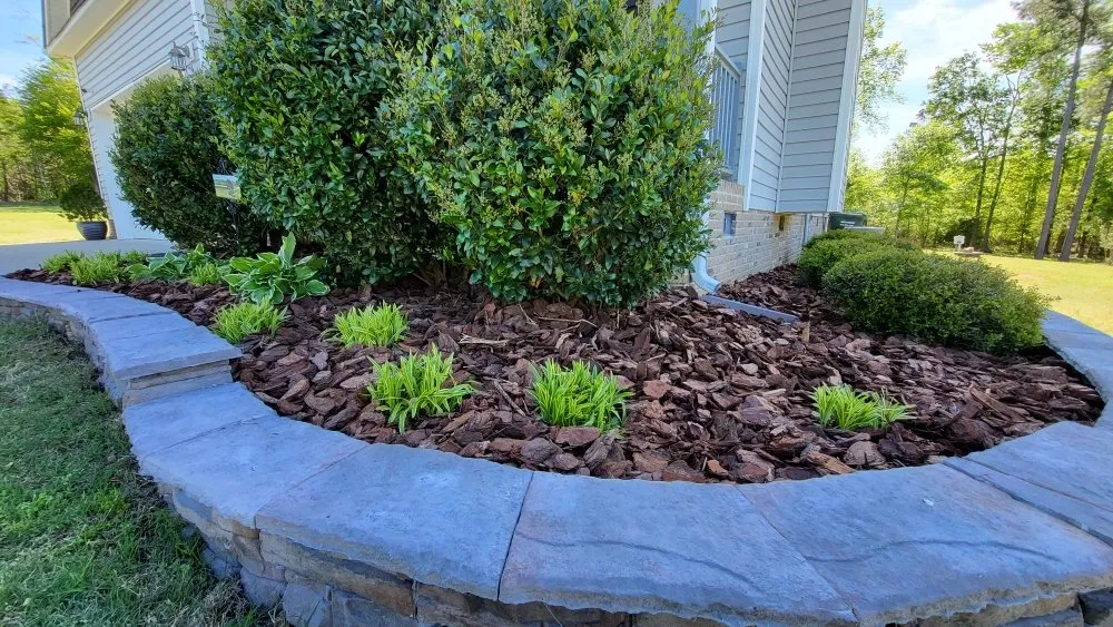 Reliable residential landscaping for year-round maintenance across Clayton, NC - Driver's Landscaping