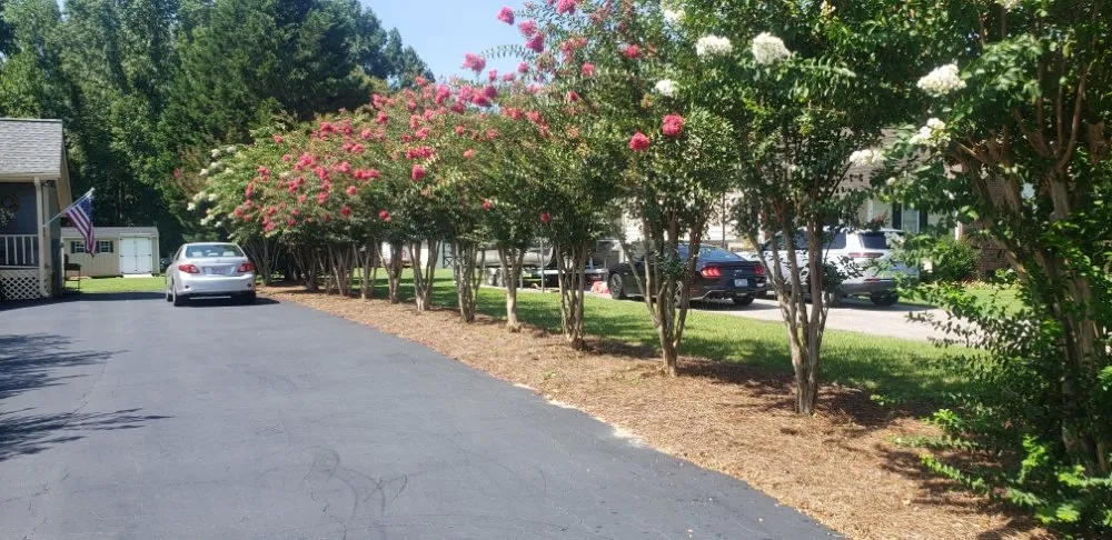 Affordable garden landscaping for beautiful yards across Clayton, NC - Driver's Landscaping