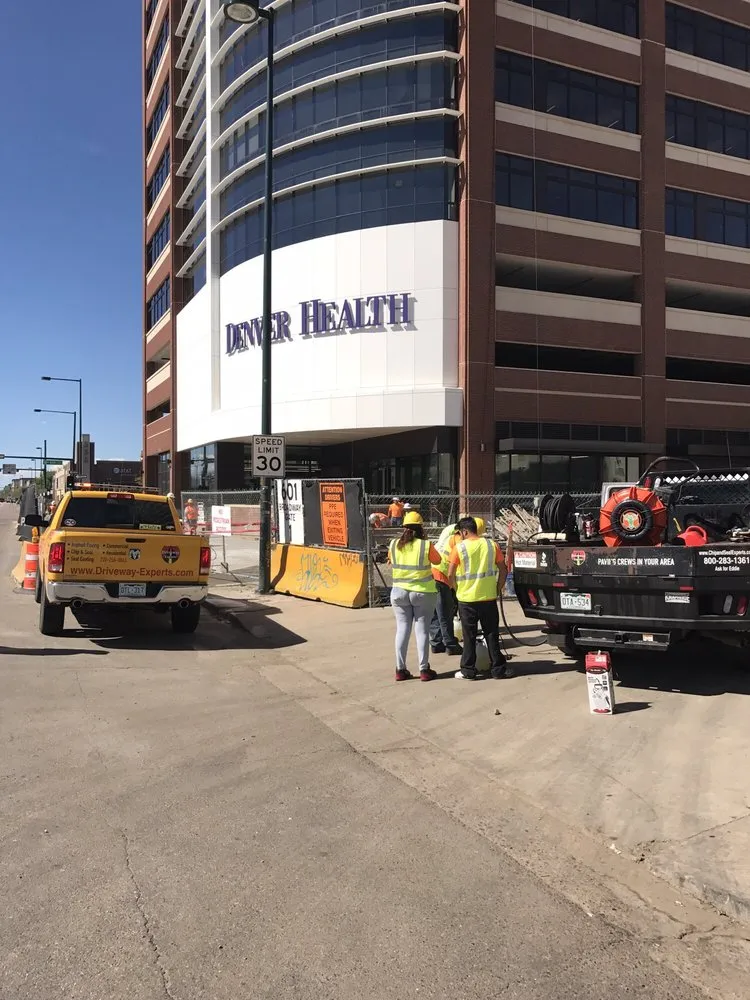 Top-rated yard cleanup service for beautiful yards across Denver, CO - Driveway Experts