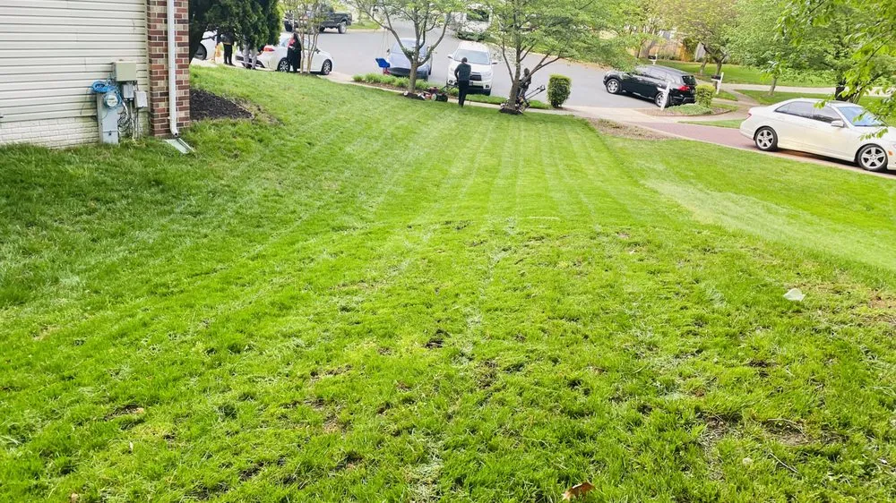 Reliable landscape design for beautiful yards across Brooklyn Park, MD - Driveway Filler and Sealer