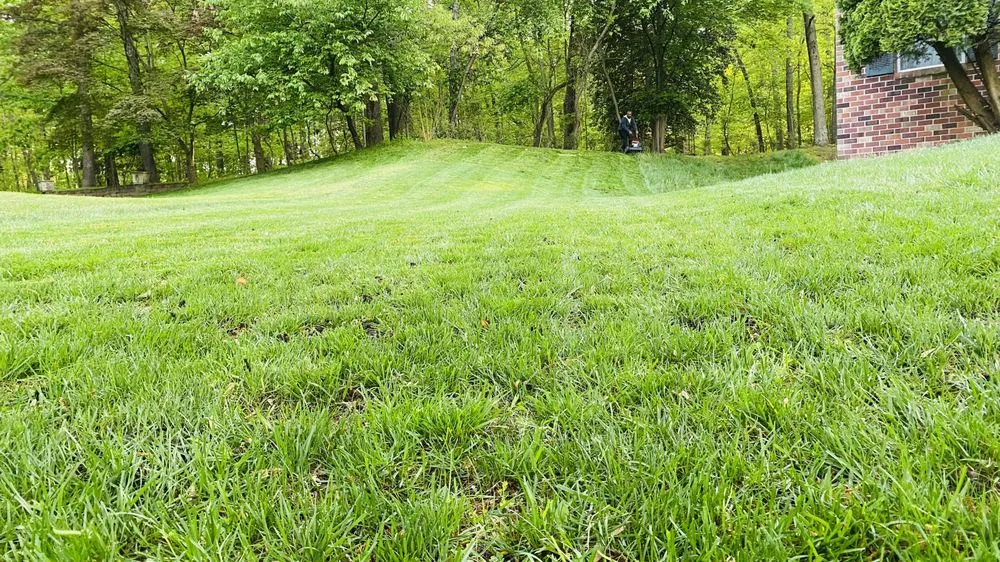 Local landscaping services with custom design across Brooklyn Park, MD - Driveway Filler and Sealer