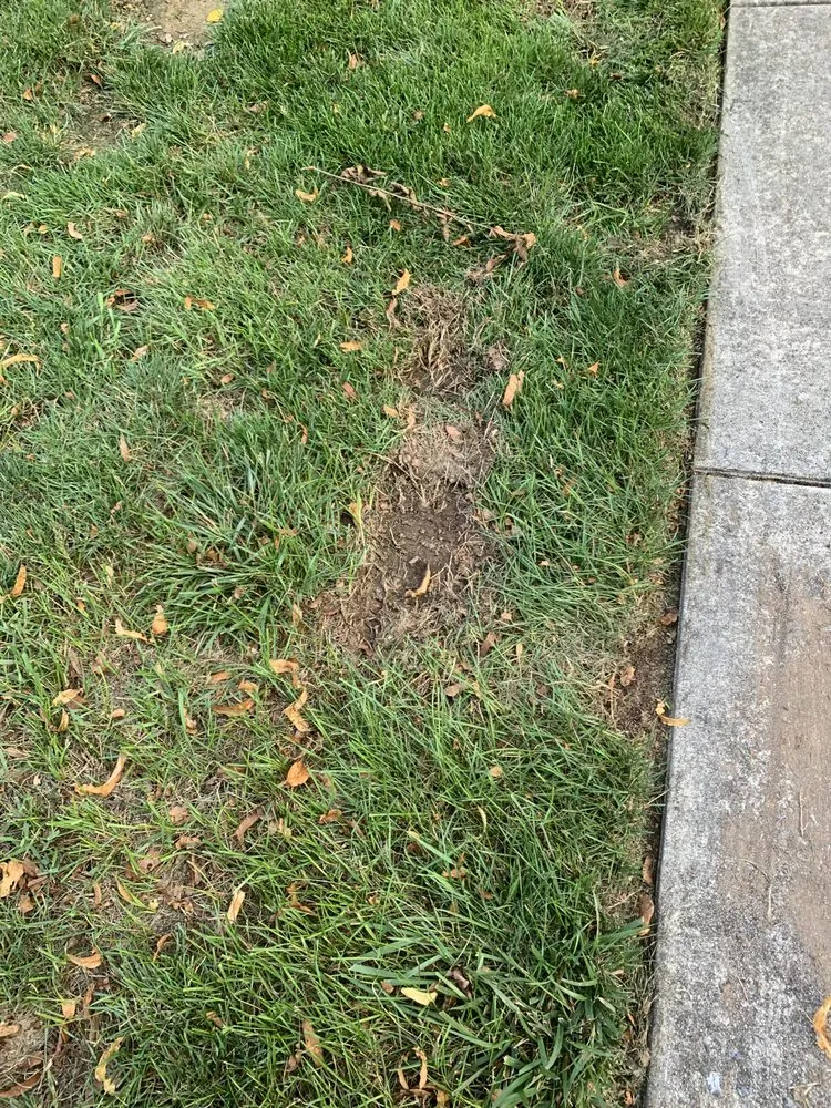 Top-rated garden landscaping with custom design in Harrisburg, PA by DRJ Landscaping