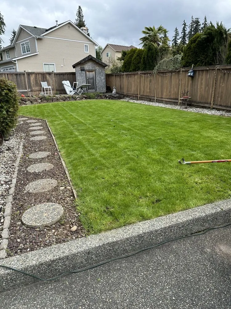 Custom yard cleanup service for year-round maintenance in Bellevue, WA by Drlc General Contractor