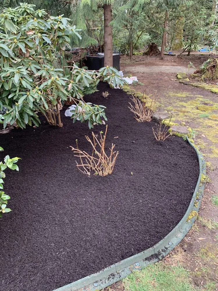 Reliable yard cleanup service in Bellevue, WA by Drlc General Contractor