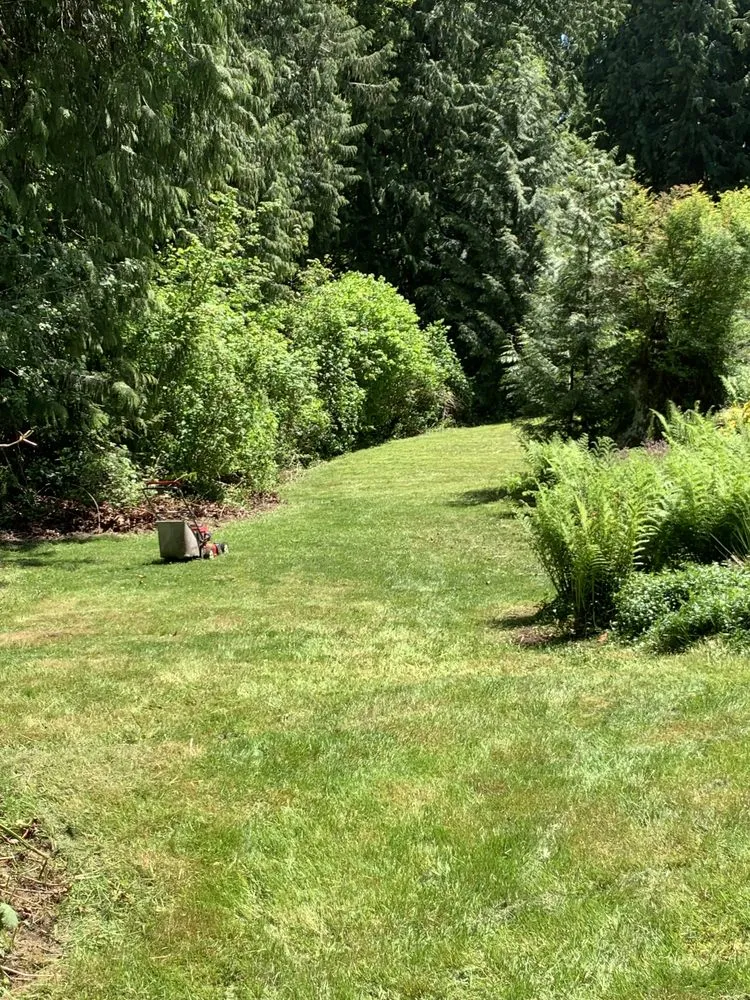 Reliable landscaping services experts serving Bellevue, WA - Drlc General Contractor