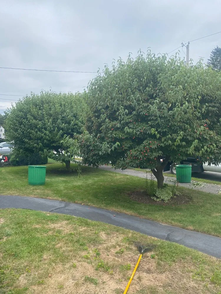 Local lawn care service for beautiful yards across Pawtucket, RI - DRM Landscaping