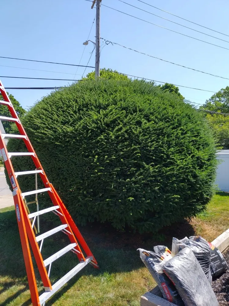 Local lawn mowing service for beautiful yards across Pawtucket, RI - DRM Landscaping