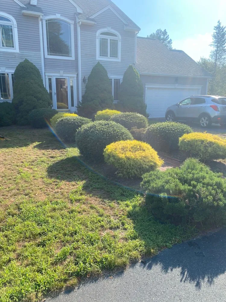 Local yard maintenance experts serving Pawtucket, RI - DRM Landscaping