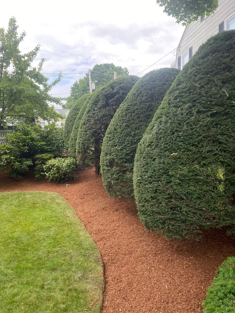 Reliable yard cleanup service near you across Pawtucket, RI - DRM Landscaping
