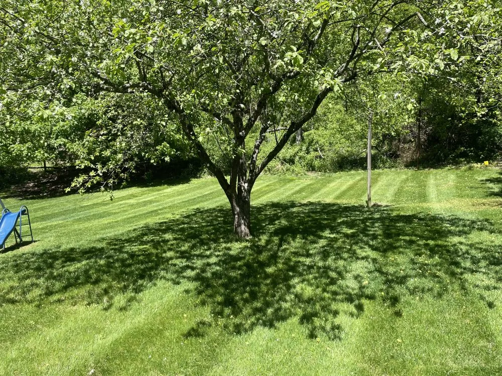 Professional residential landscaping in Newburgh, NY - DRM Property Maintenance