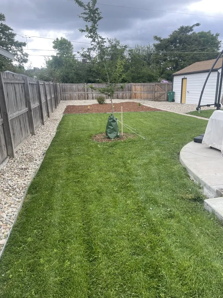 Reliable lawn care service with custom design in Golden, CO by Dro Lawn Care