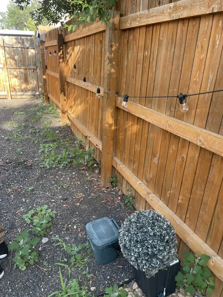 Professional yard cleanup service in Golden, CO by Dro Lawn Care