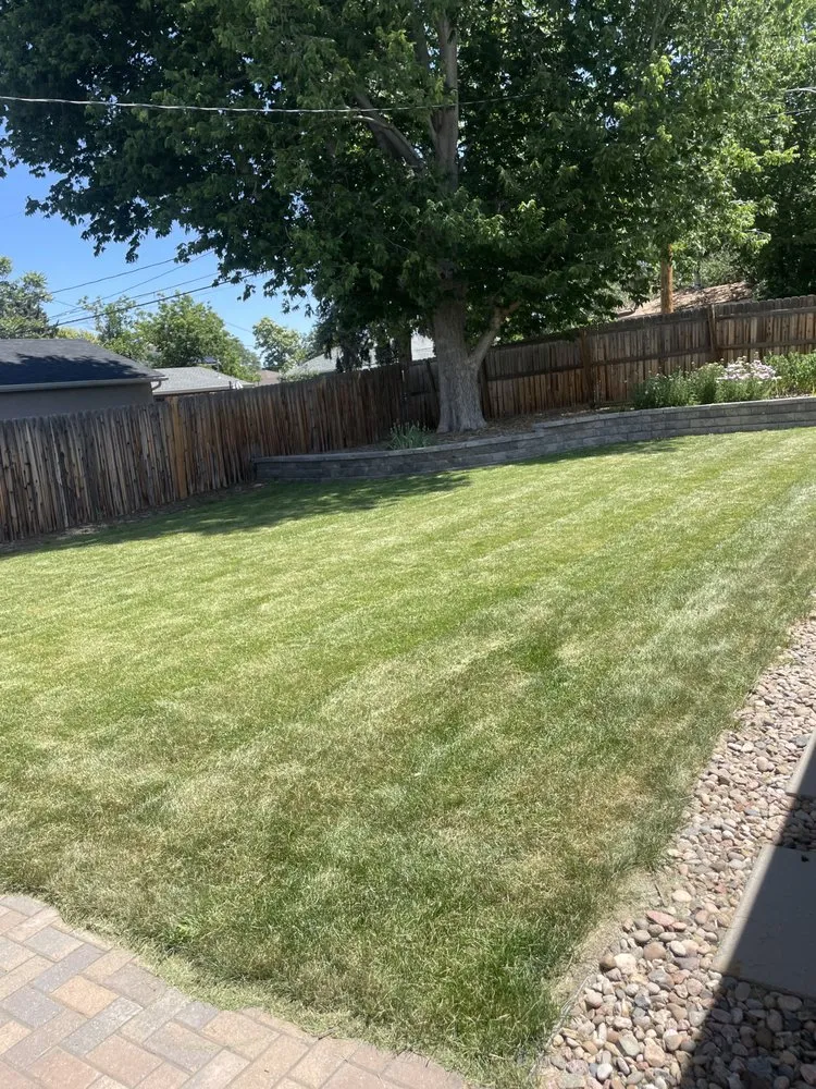 Custom landscaping services experts serving Golden, CO - Dro Lawn Care