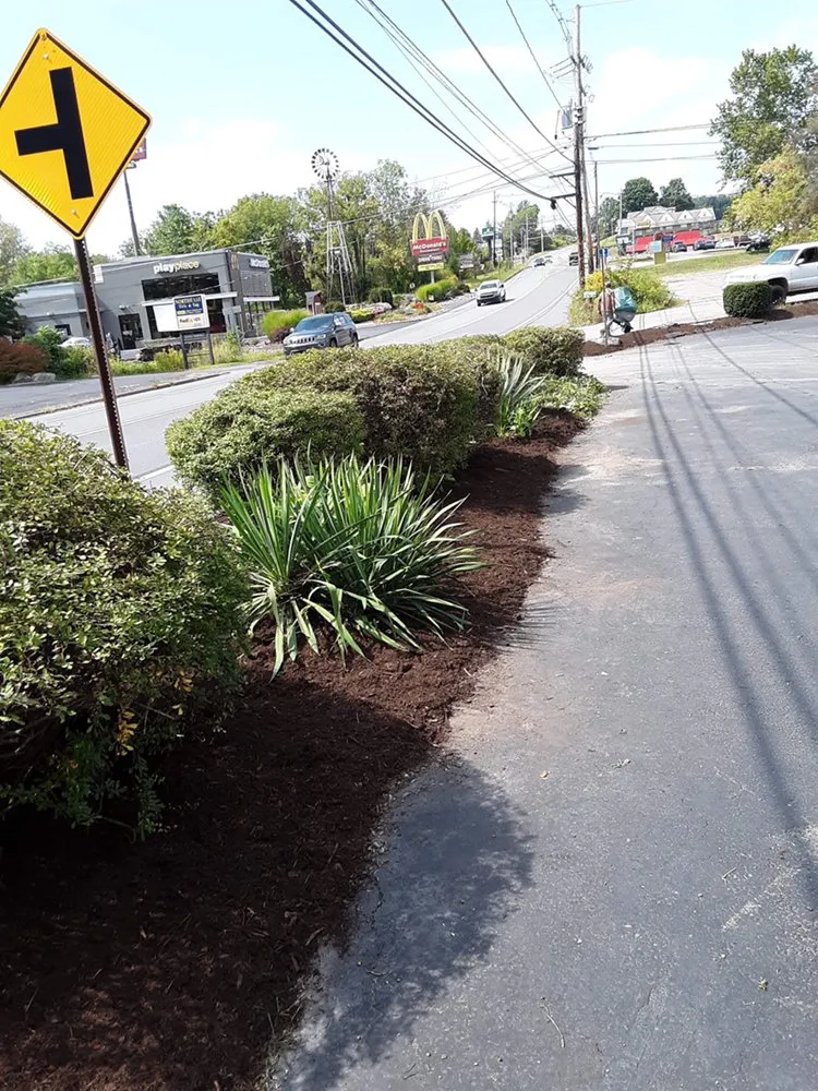 Affordable residential landscaping for outdoor upgrades in Factoryville, PA by Drobish Quality Lawn Care