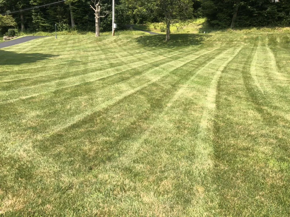 Affordable yard maintenance experts serving Factoryville, PA - Drobish Quality Lawn Care