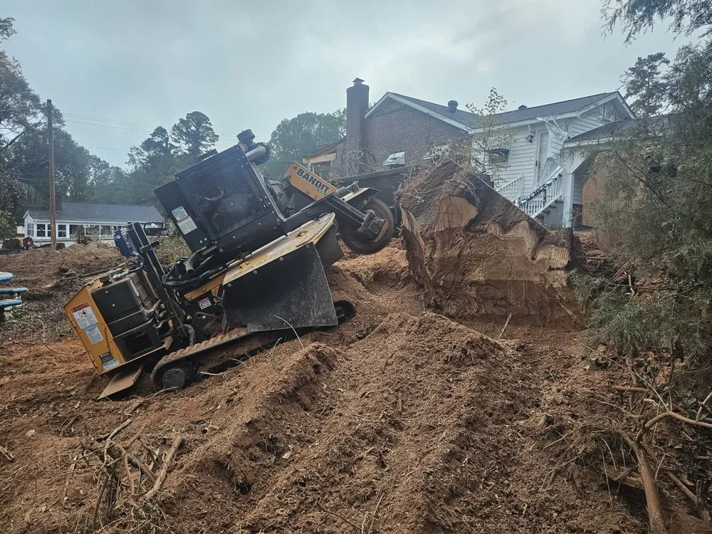 Reliable yard cleanup service for beautiful yards in Hubert, NC by Drop Zone Tree Service and Landscaping