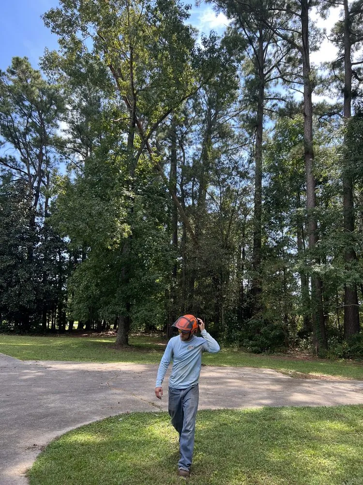 Expert landscape installation experts serving Hubert, NC - Drop Zone Tree Service and Landscaping
