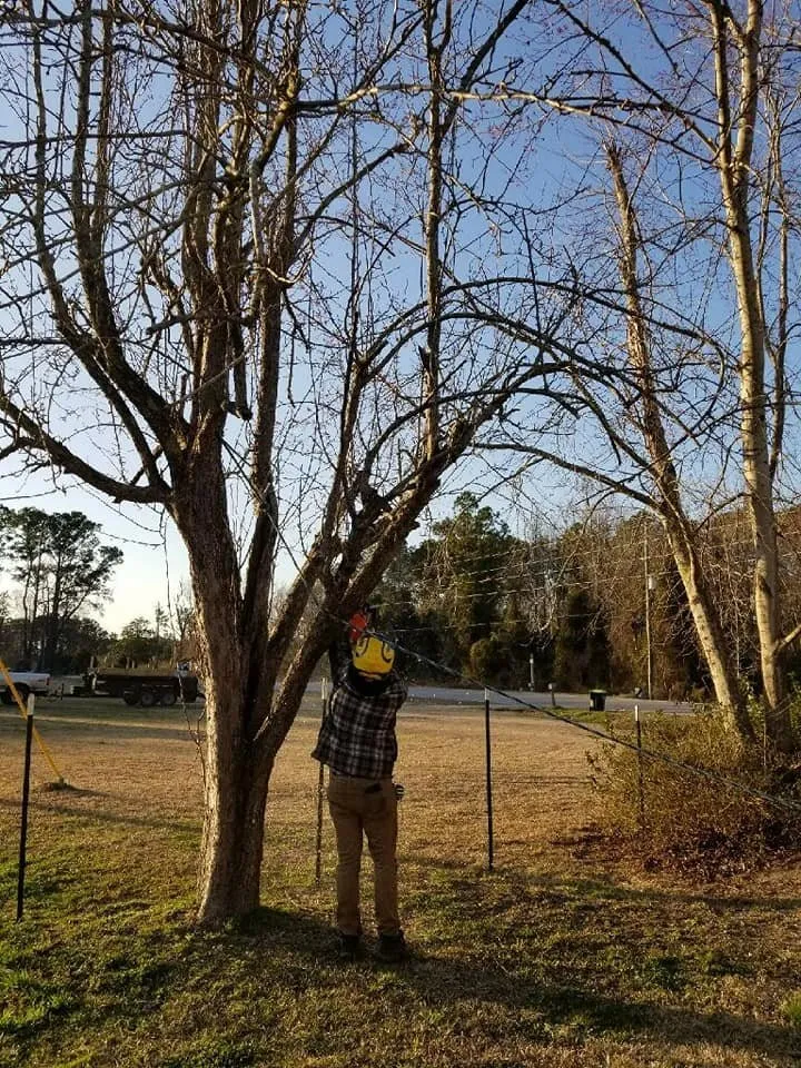 Expert garden landscaping for residential properties across Hubert, NC - Drop Zone Tree Service and Landscaping