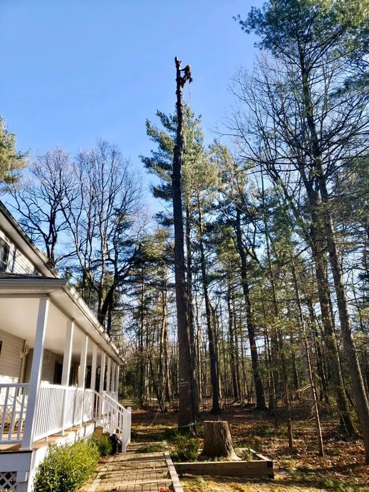 Local landscape installation for year-round maintenance across Hubert, NC - Drop Zone Tree Service and Landscaping
