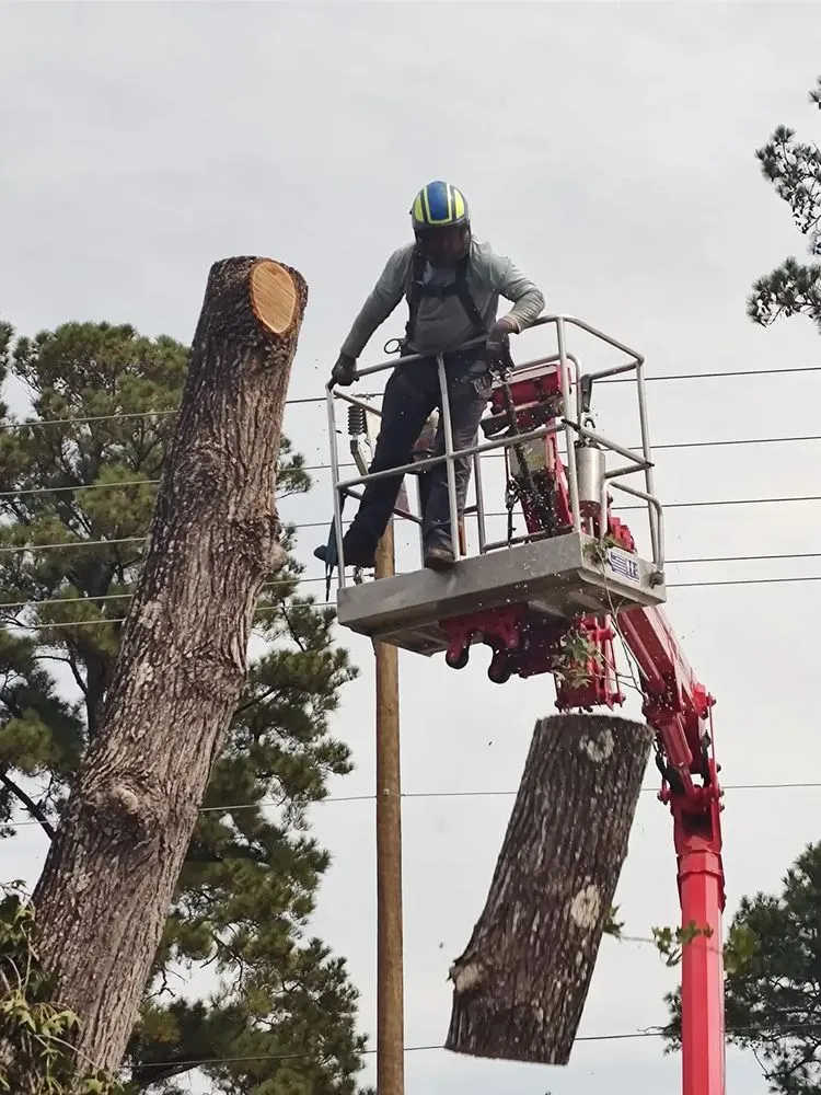 Local outdoor landscaping experts serving Hubert, NC - Drop Zone Tree Service and Landscaping