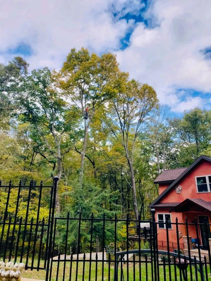 Top-rated yard cleanup service for outdoor upgrades across Hubert, NC - Drop Zone Tree Service and Landscaping