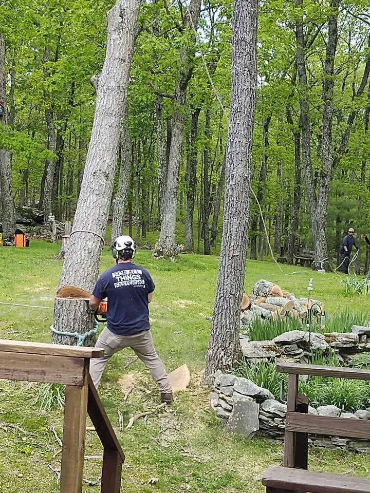 Local lawn mowing service for residential properties across Hubert, NC - Drop Zone Tree Service and Landscaping