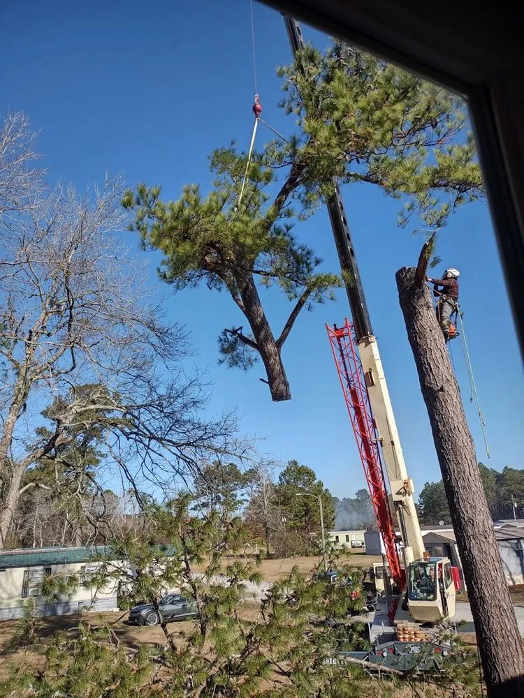 Top-rated yard maintenance experts serving Hubert, NC - Drop Zone Tree Service and Landscaping