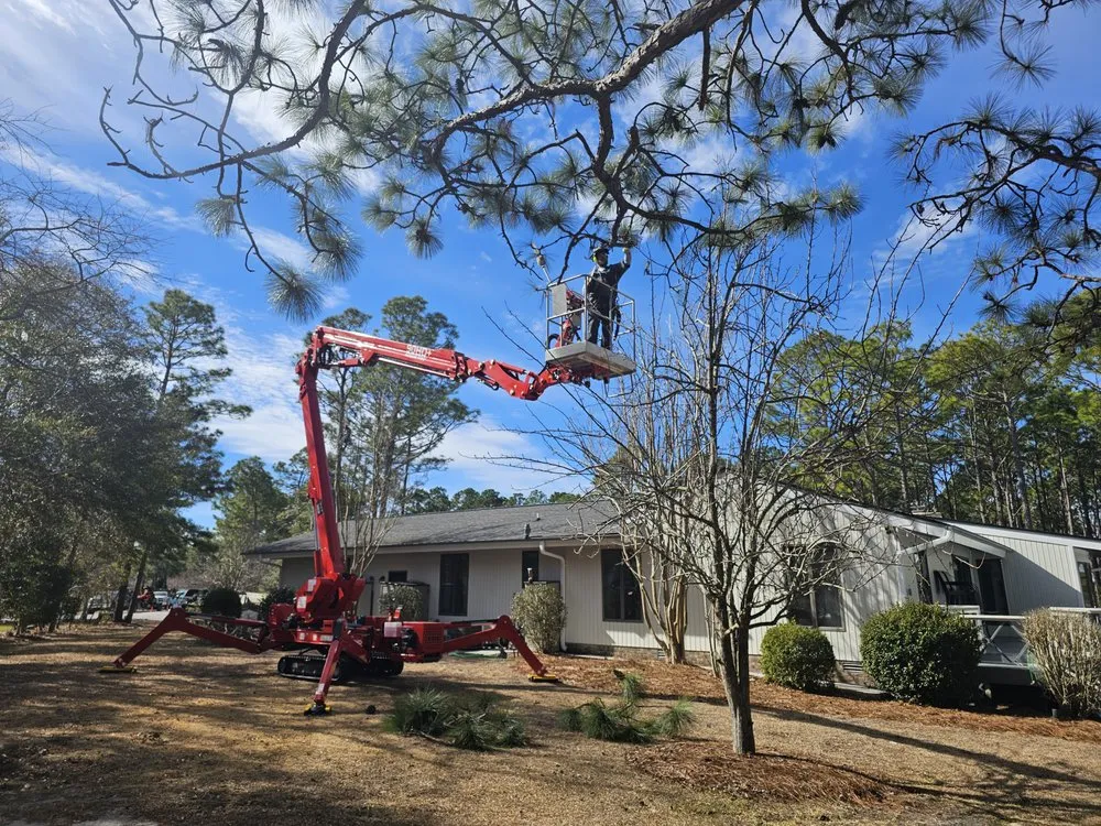 Top-rated lawn mowing service for beautiful yards in Hubert, NC by Drop Zone Tree Service and Landscaping