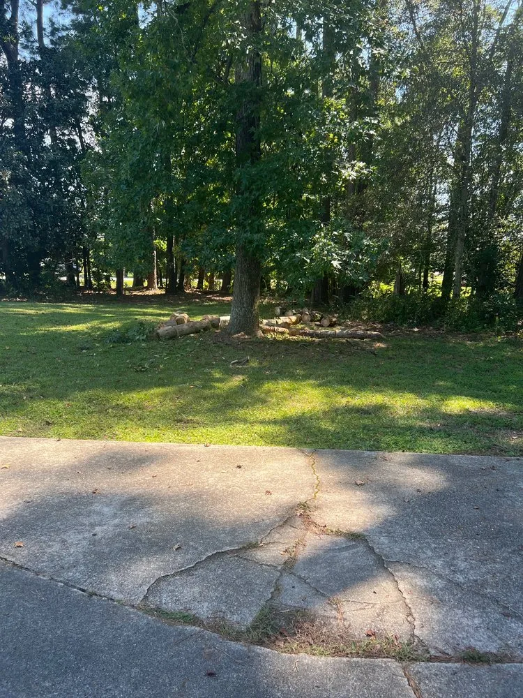 Top-rated garden landscaping for year-round maintenance in Hubert, NC by Drop Zone Tree Service and Landscaping