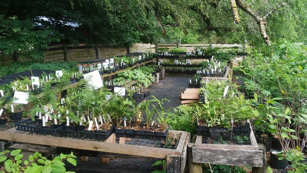 Top-rated landscape installation experts serving Goshen, KY - Dropseed Native Plant Nursery