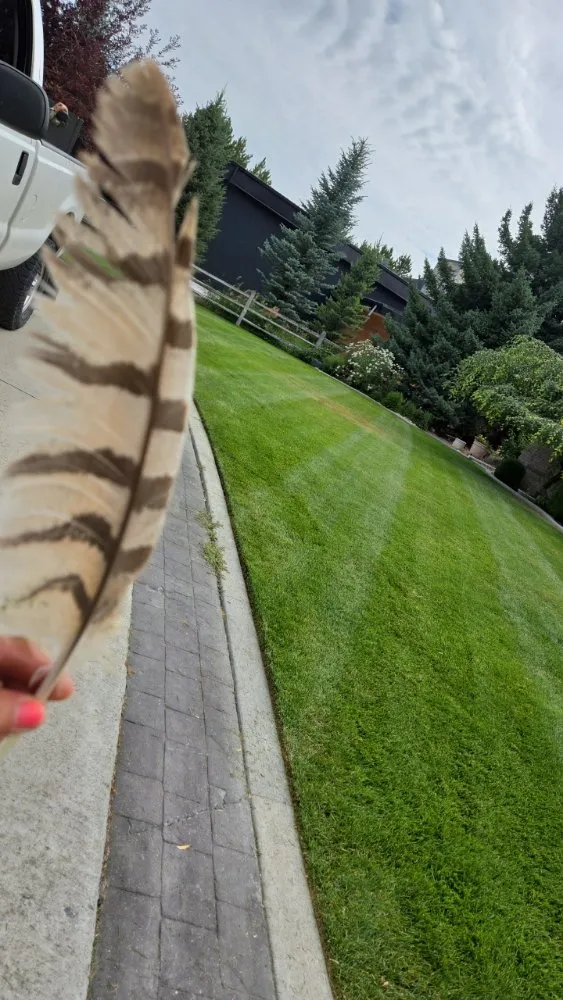 Custom residential landscaping in Smithfield, UT - Droptine Lawncare Service