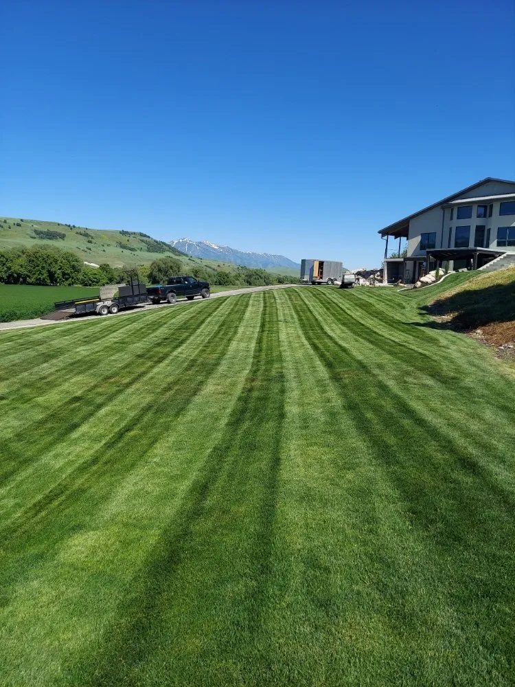 Local yard cleanup service in Smithfield, UT by Droptine Lawncare Service