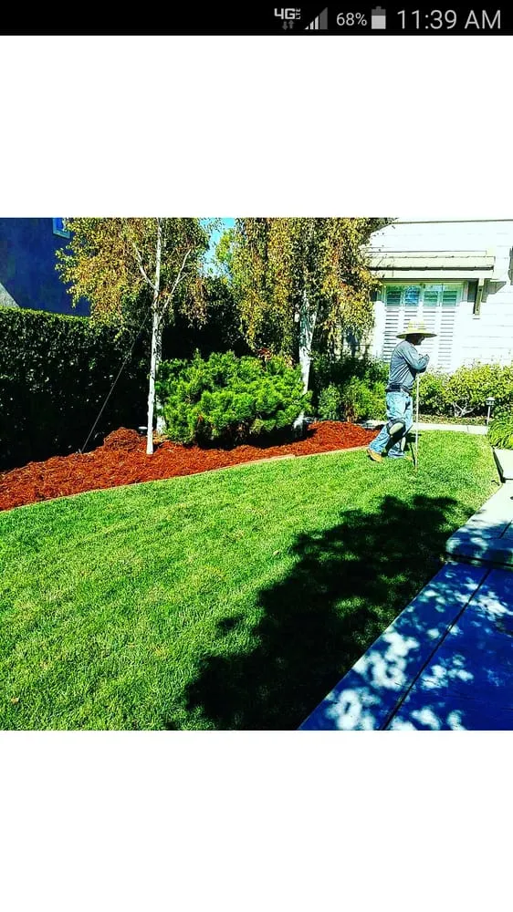 Top-rated yard maintenance in San Dimas, CA - Drost Landscaping