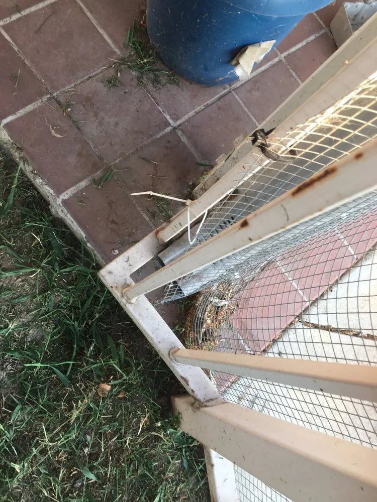 Top-rated lawn mowing service in San Dimas, CA - Drost Landscaping