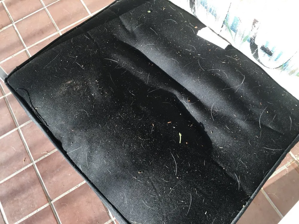 Trusted yard cleanup service in San Dimas, CA - Drost Landscaping