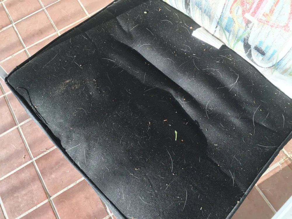 Affordable garden landscaping in San Dimas, CA by Drost Landscaping