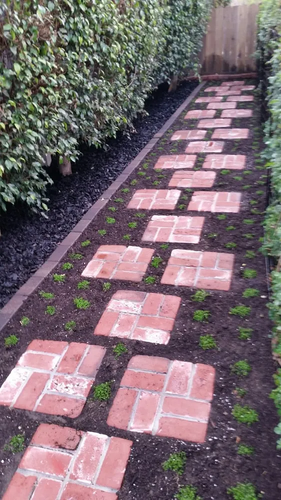 Local yard maintenance for year-round maintenance across San Dimas, CA - Drost Landscaping