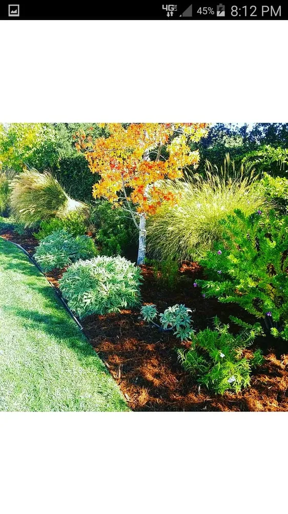 Reliable yard cleanup service in San Dimas, CA by Drost Landscaping