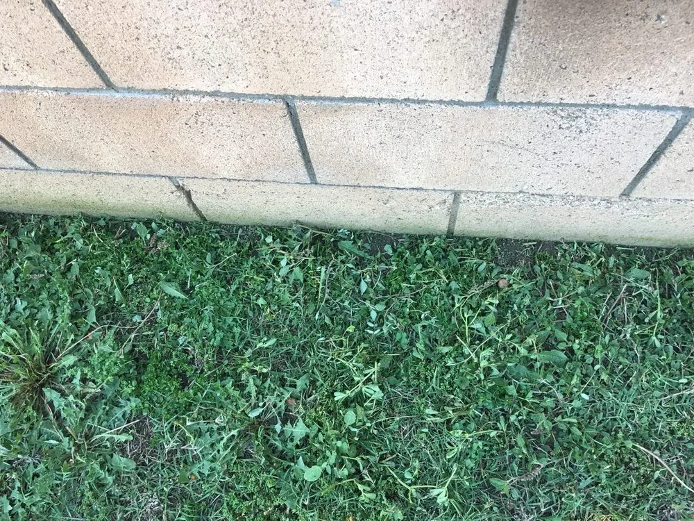 Expert landscape installation near you across San Dimas, CA - Drost Landscaping