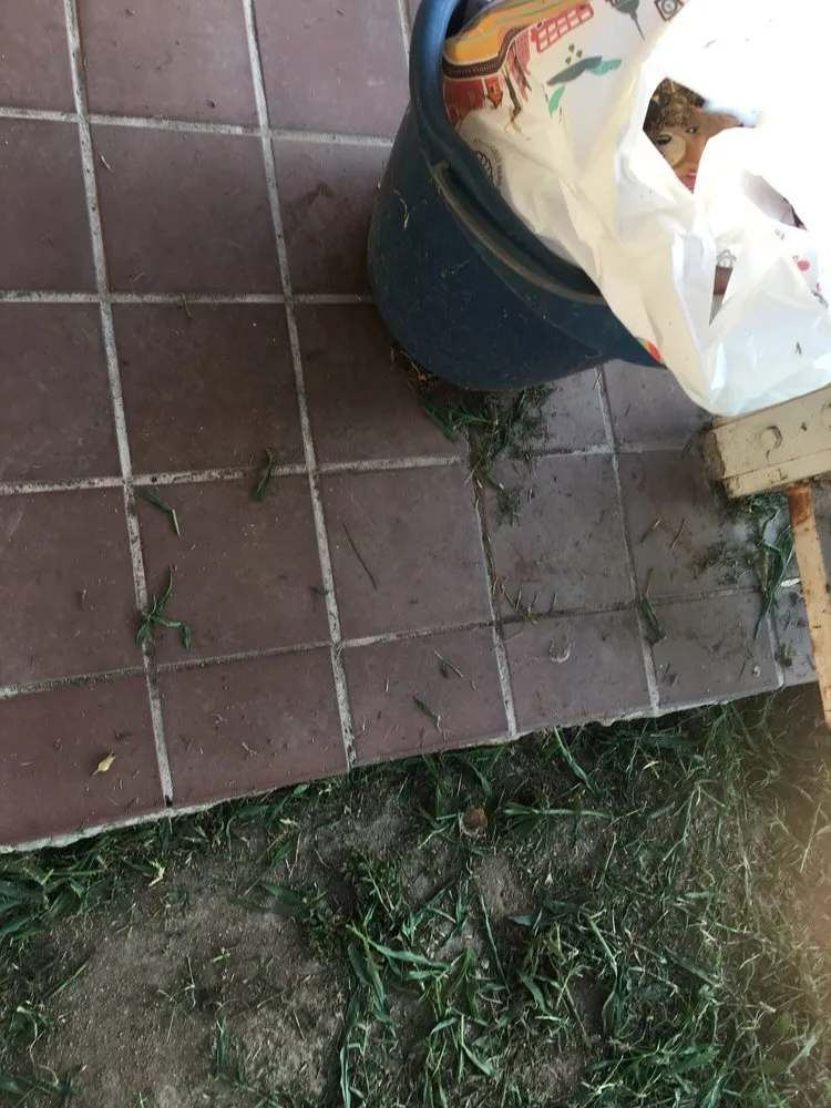 Professional lawn care service experts serving San Dimas, CA - Drost Landscaping