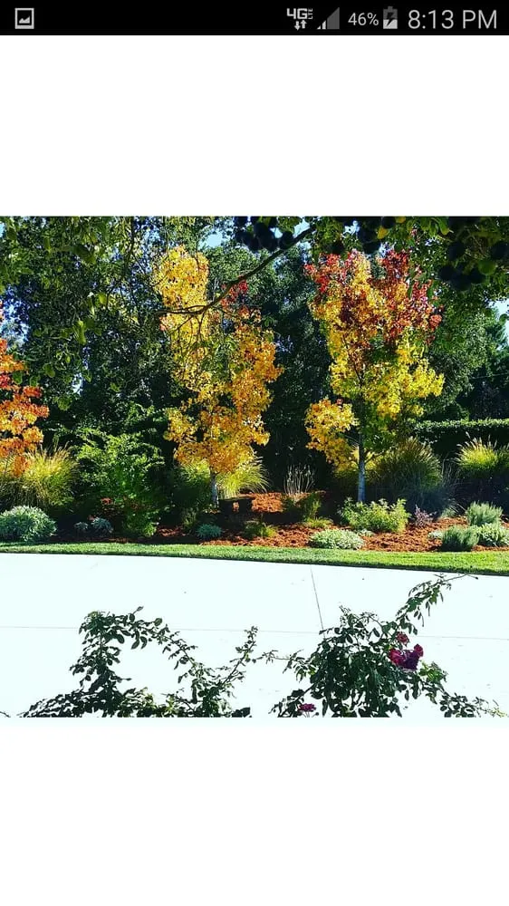 Top-rated yard maintenance for outdoor upgrades in San Dimas, CA by Drost Landscaping