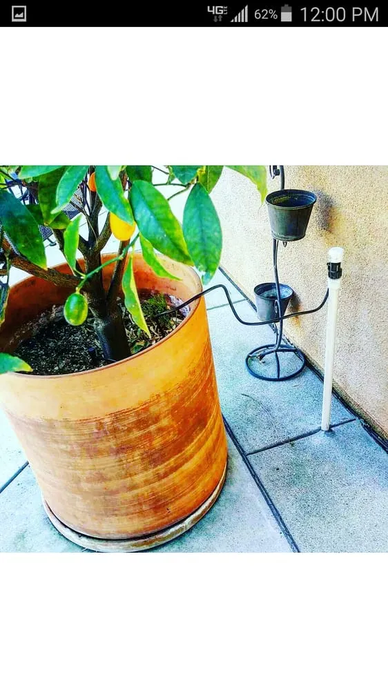 Expert lawn care service in San Dimas, CA by Drost Landscaping