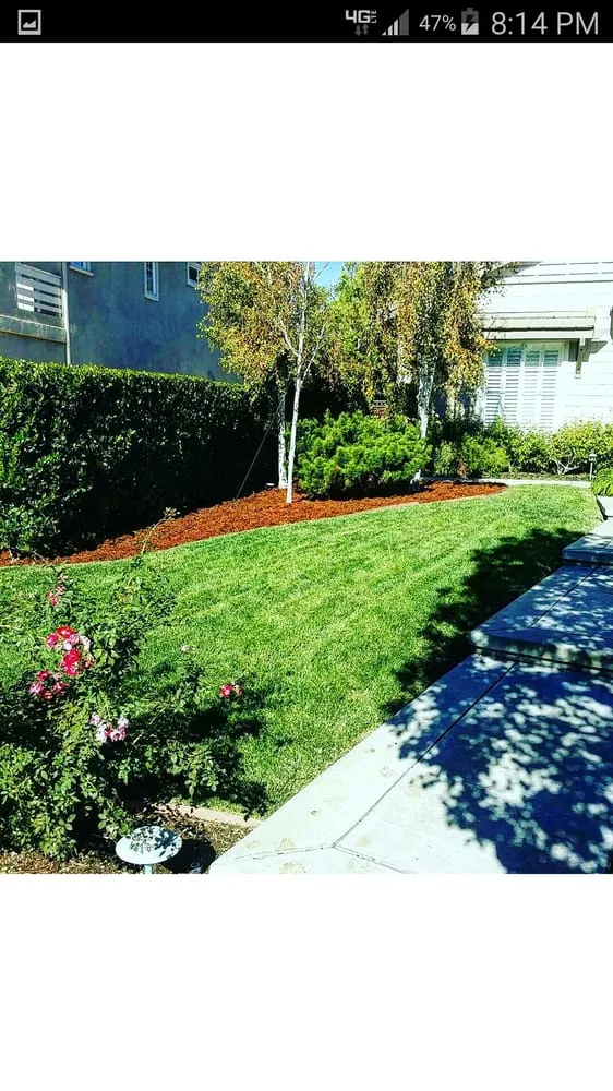 Affordable landscape installation in San Dimas, CA by Drost Landscaping