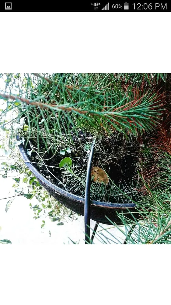 Expert garden landscaping for year-round maintenance across San Dimas, CA - Drost Landscaping