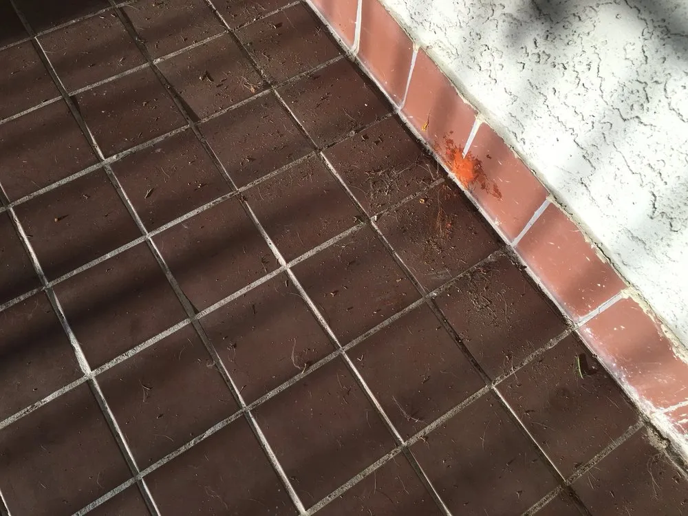 Reliable yard maintenance with custom design in San Dimas, CA by Drost Landscaping