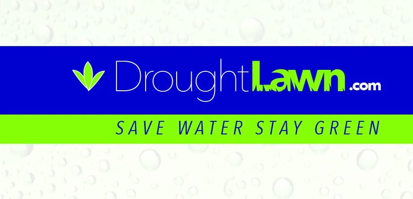 Affordable garden landscaping in Granite Bay, CA by Drought Lawn