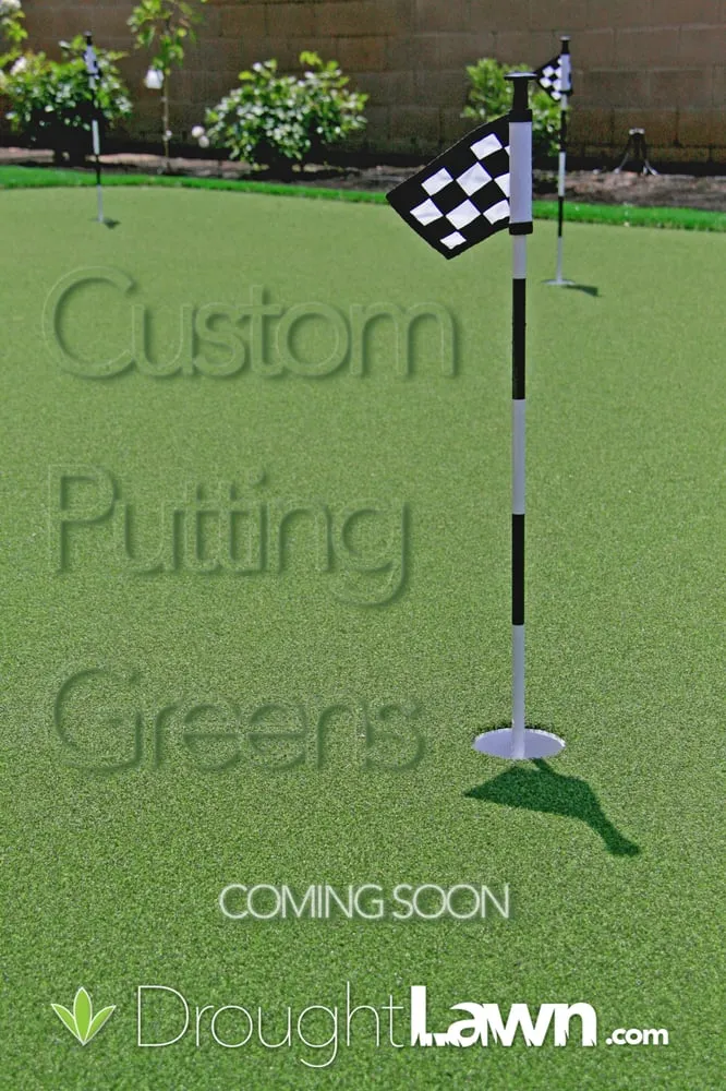 Local outdoor landscaping near you in Granite Bay, CA by Drought Lawn