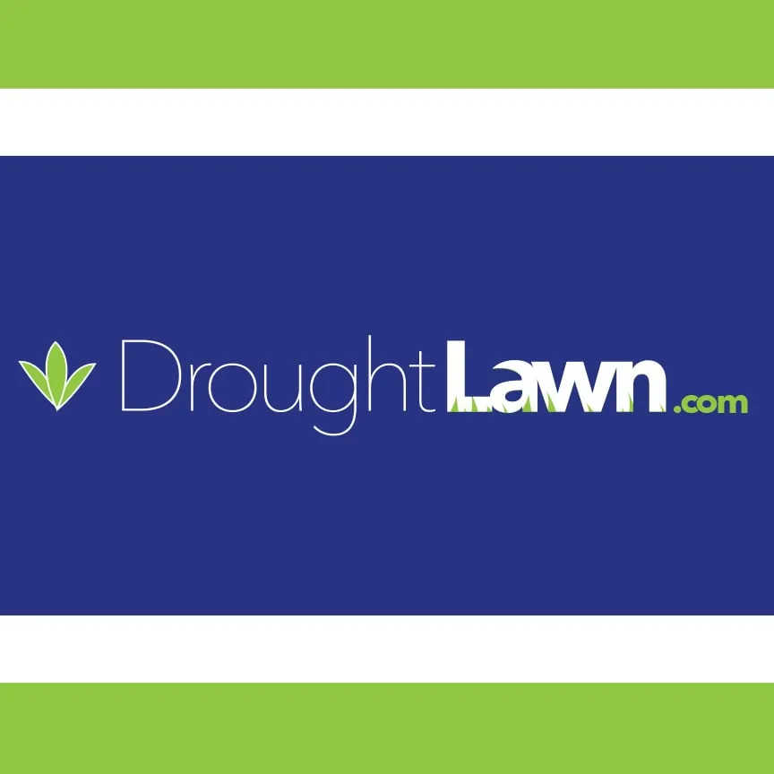 Expert yard maintenance for residential properties in Granite Bay, CA by Drought Lawn